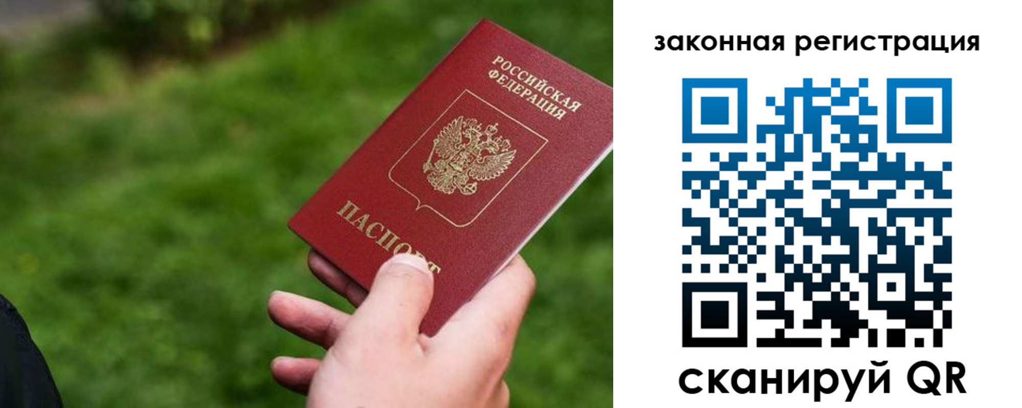 прописка законно в Оленегорске